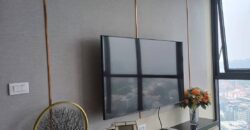The Panora Condo