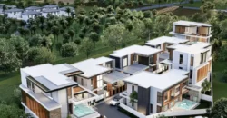 The Ozone Wealth