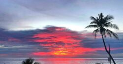 Beachfront For Rent at The Palm Wongamat