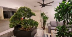 Natureza Condo North Pattaya 1-Bedroom for Rent