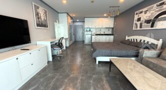 Tw platinum suites studio condo for sale & rent