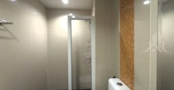 New Nordic VIP 3 Studio Condo for Sale & Rent