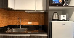 New Nordic VIP 3 Studio Condo for Sale & Rent