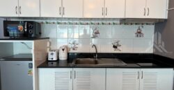 TW Platinum Suites Studio Condo for Sale & Rent
