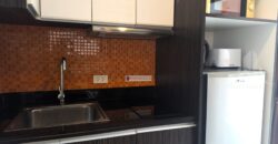 New Nordic VIP 3 Studio Condo for Sale & Rent