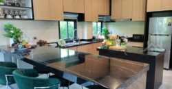 Madcha Nirvana Luxury Home for Sale and Rent