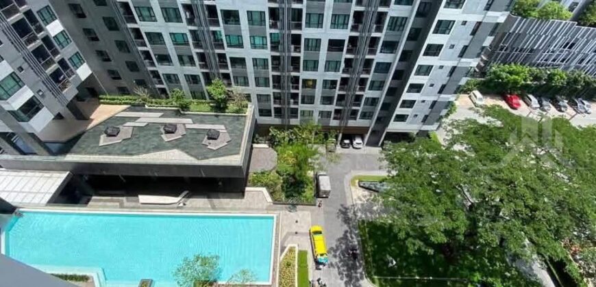 The Base Central Pattaya 1 Bed Pool View Sale