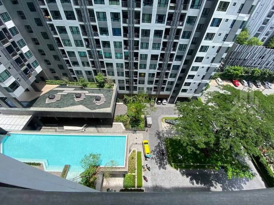 The base central pattaya 1 bed pool view sale