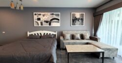 TW Platinum Suites Studio Condo for Sale & Rent