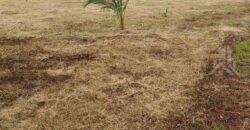 Chaiyapornwithi 8 Land 2-2-88 Rai for Sale, Pattaya