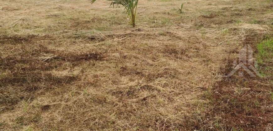 Chaiyapornwithi 8 Land 2-2-88 Rai for Sale, Pattaya