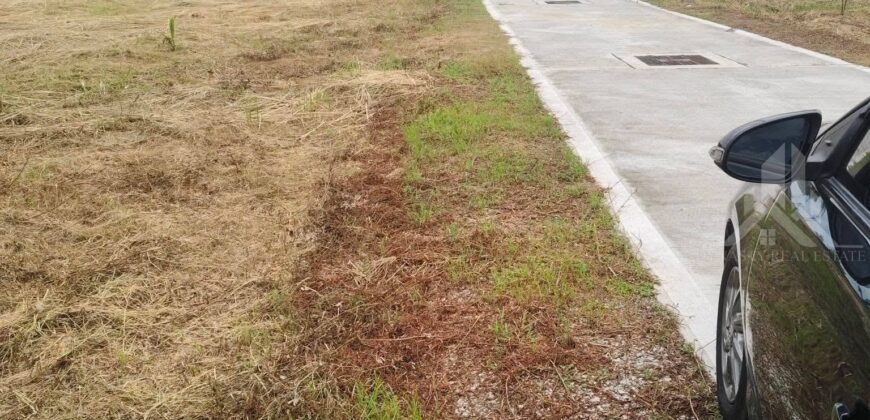 Chaiyapornwithi 8 Land 2-2-88 Rai for Sale, Pattaya