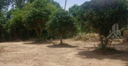 Huai Yai 380 Sq.Wah Land for Sale, Soi Huai Nai Chin