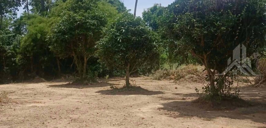 Huai Yai 380 Sq.Wah Land for Sale, Soi Huai Nai Chin