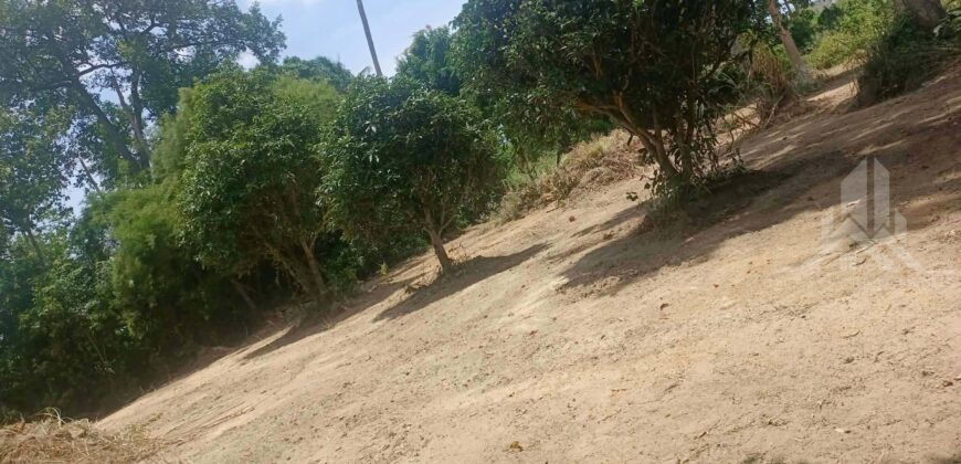 Huai Yai 380 Sq.Wah Land for Sale, Soi Huai Nai Chin