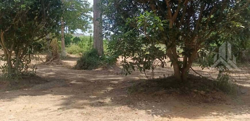 Huai Yai 380 Sq.Wah Land for Sale, Soi Huai Nai Chin