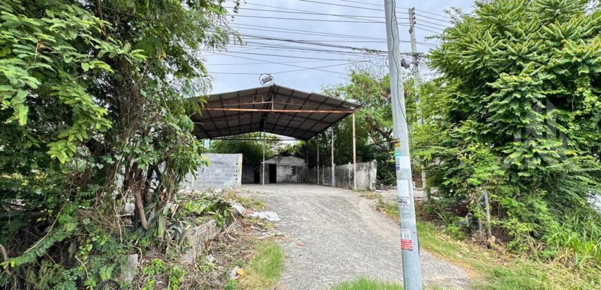 Nong Pla Lai 120 Sq.Wah Land for Sale, Bang Lamung