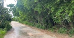 Nong Prue 3 Rai Land for Sale near Mabprachan Lake