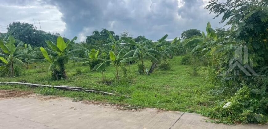 Nong Prue 3 Rai Land for Sale near Mabprachan Lake