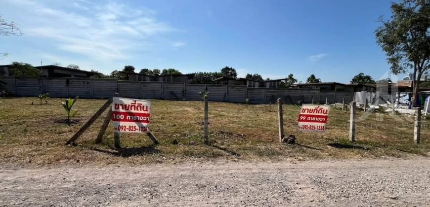 Nong Prue Land Plots 99-100 Sq.wah for Sale, Pattaya