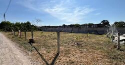 Nong Prue Land Plots 99-100 Sq.wah for Sale, Pattaya
