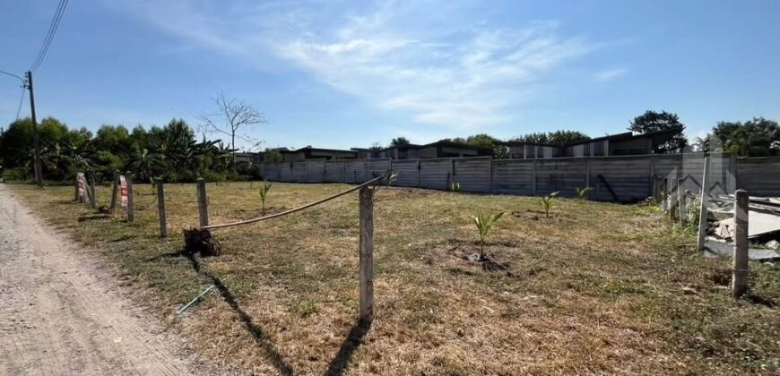 Nong Prue Land Plots 99-100 Sq.wah for Sale, Pattaya