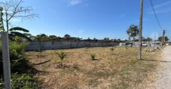 Nong Prue Land Plots 99-100 Sq.wah for Sale, Pattaya