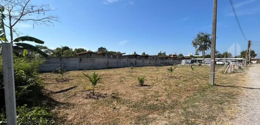 Nong Prue Land Plots 99-100 Sq.wah for Sale, Pattaya