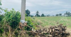 Pong 15 Rai Land for Sale near Mabprachan, Bang Lamung