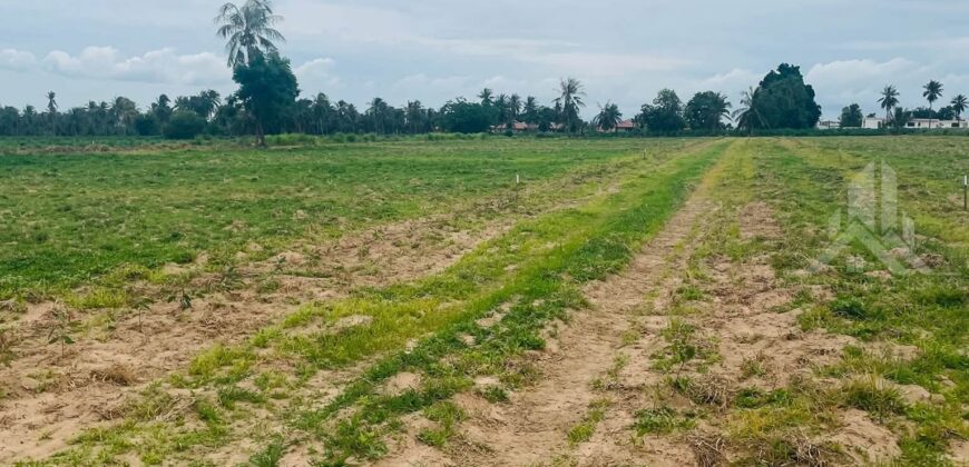 Pong 15 Rai Land for Sale near Mabprachan, Bang Lamung