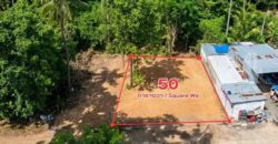 Pong 50 Sq.Wah Land for Sale near Mabprachan Lake