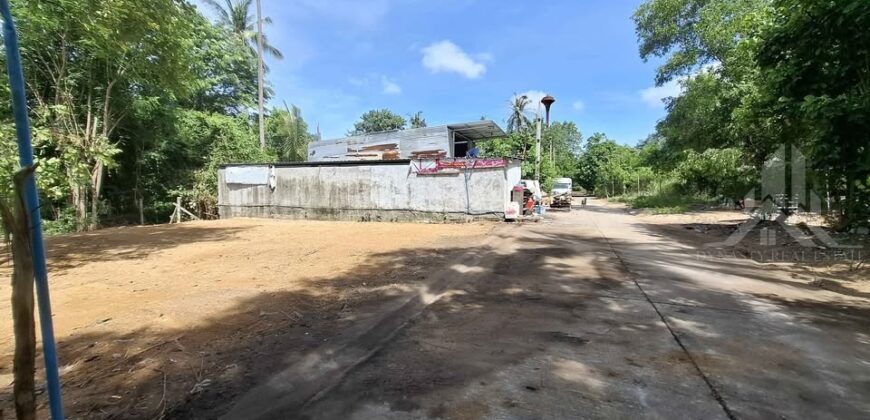 Pong 50 Sq.Wah Land for Sale near Mabprachan Lake