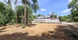 Pong 50 Sq.Wah Land for Sale near Mabprachan Lake