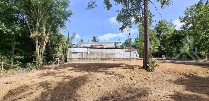 Pong 50 Sq.Wah Land for Sale near Mabprachan Lake