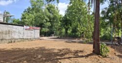 Pong 50 Sq.Wah Land for Sale near Mabprachan Lake