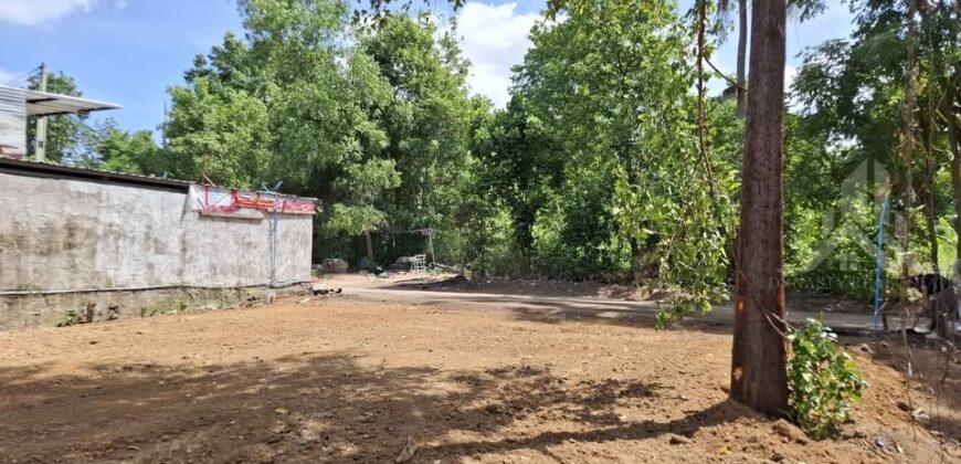 Pong 50 Sq.Wah Land for Sale near Mabprachan Lake