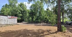 Pong 50 Sq.Wah Land for Sale near Mabprachan Lake