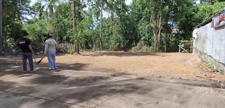 Pong 50 Sq.Wah Land for Sale near Mabprachan Lake