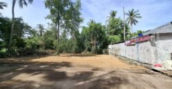 Pong 50 Sq.Wah Land for Sale near Mabprachan Lake