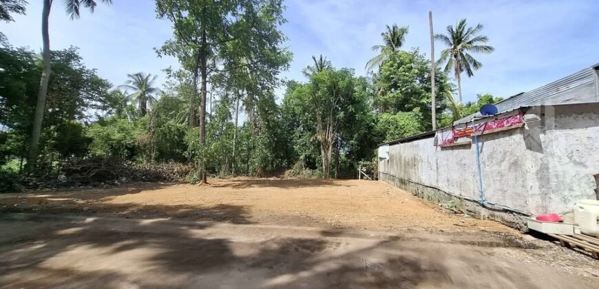Pong 50 Sq.Wah Land for Sale near Mabprachan Lake