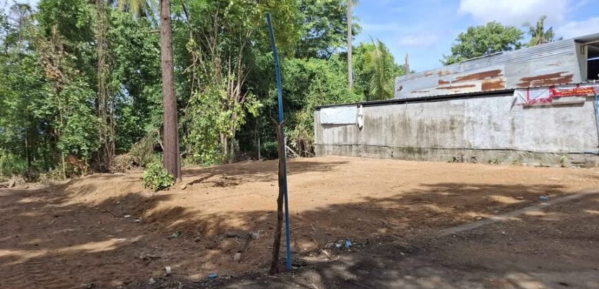 Pong 50 Sq.Wah Land for Sale near Mabprachan Lake