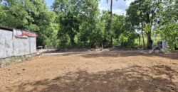 Pong 50 Sq.Wah Land for Sale near Mabprachan Lake