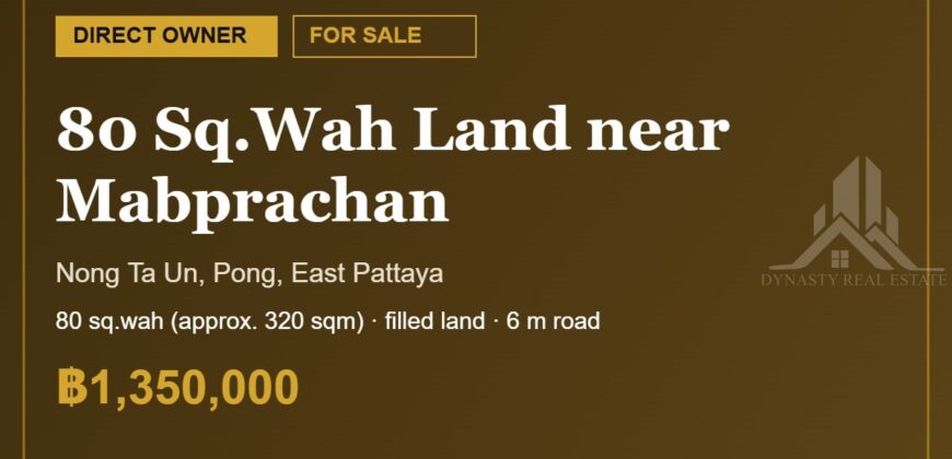 Pong 80 Sq.Wah Land for Sale near Mabprachan Lake