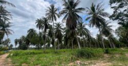 Siam Country Club Polo 5 Rai Land for Sale, East Pattaya
