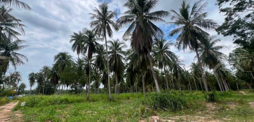 Siam Country Club Polo 5 Rai Land for Sale, East Pattaya