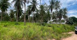 Siam Country Club Polo 5 Rai Land for Sale, East Pattaya