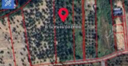 Siam Country Club Polo 5 Rai Land for Sale, East Pattaya