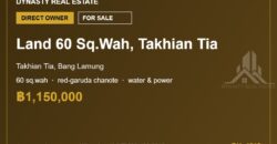 Takhian Tia 60 Sq.Wah Land Plot for Sale, Bang Lamung
