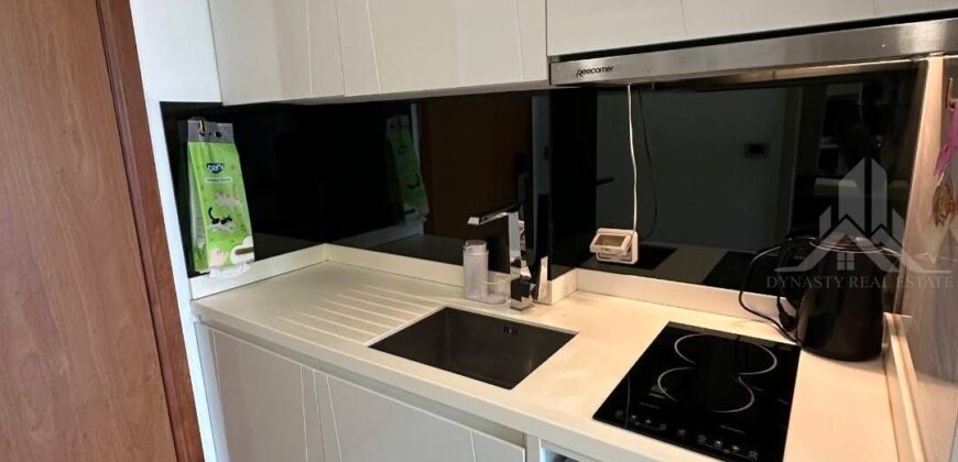 The Peak Towers Studio Condo for Sale & Rent